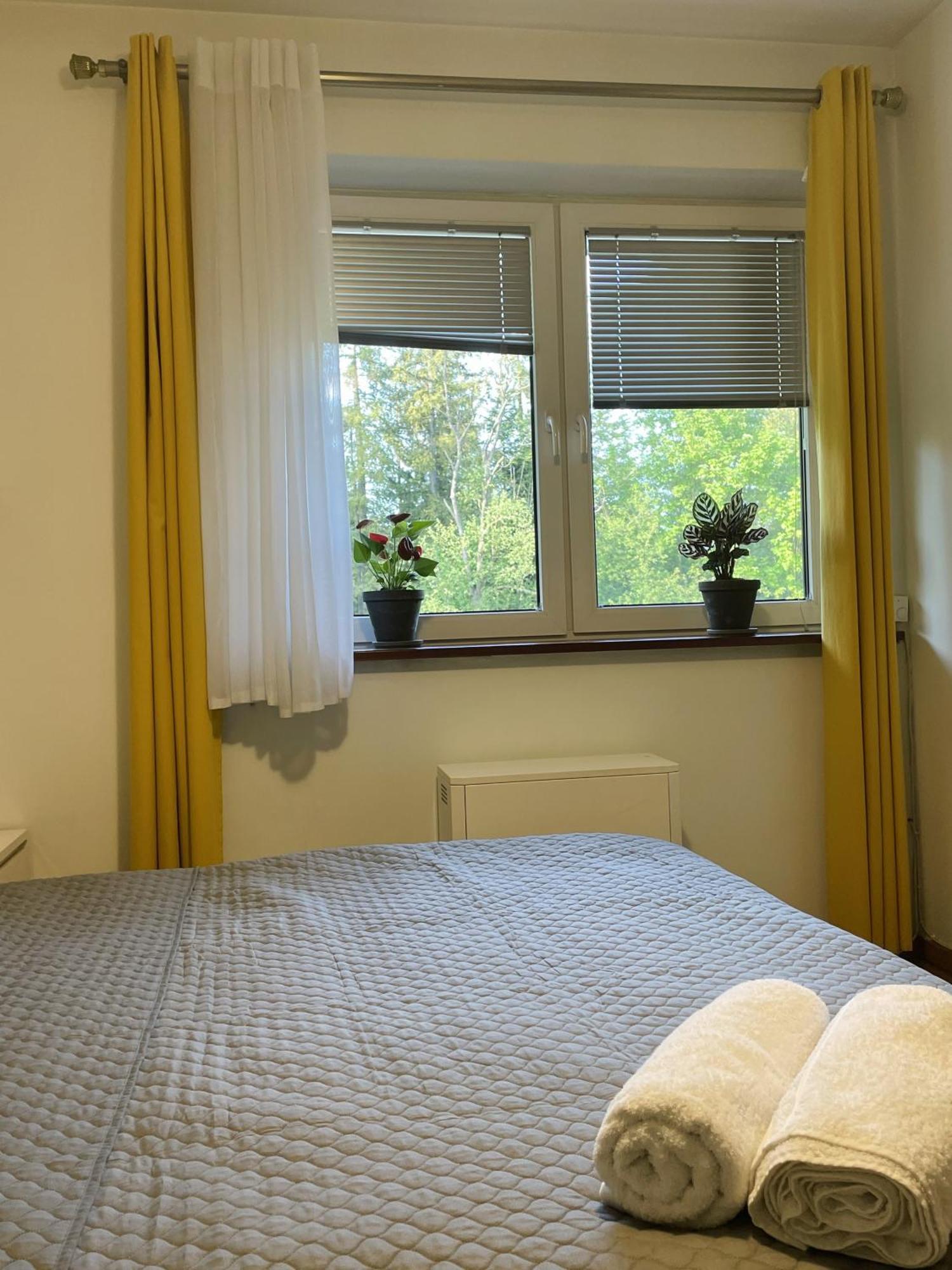 דירות זקופאנה Apartament Idylla מראה חיצוני תמונה